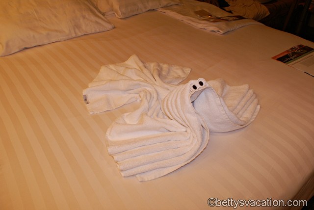 Towel Pet 4