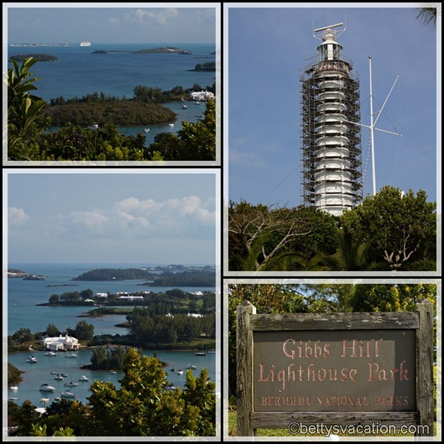 Collage Gibbs Hill
