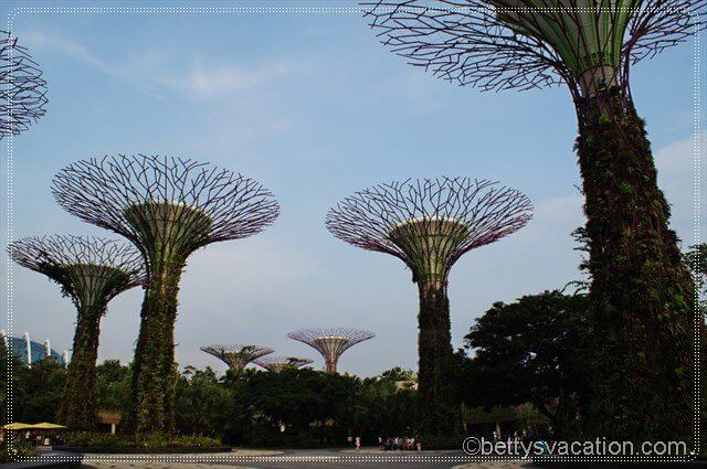 71 - Gardens by the Bay