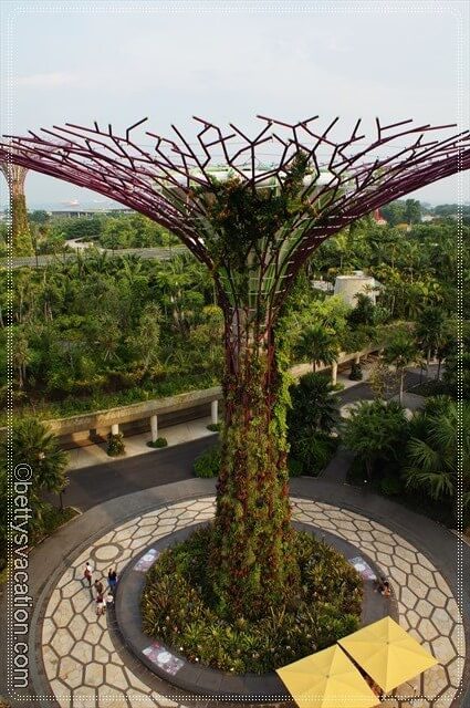 74 - Gardens by the Bay