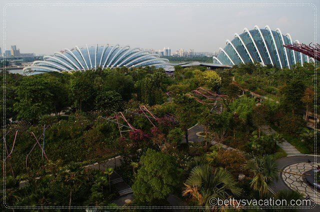 78 - Gardens by the Bay