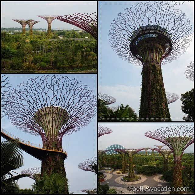 Collage Gardens by the Bay 2