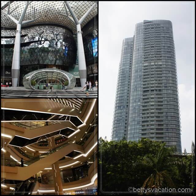 Collage ION Orchard