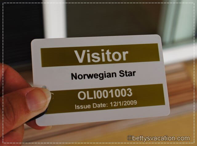 Norwegian Star 7