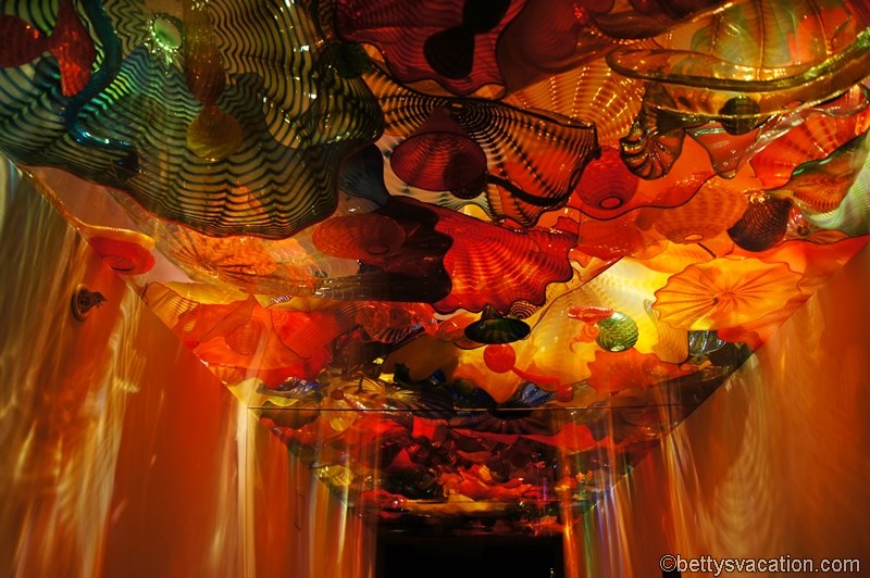 39-Chihuly-Museum.jpg