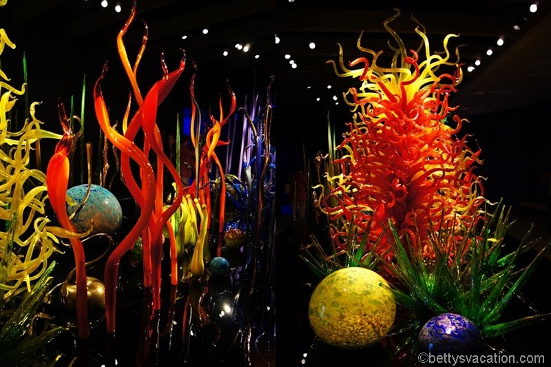 40-Chihuly-Museum.jpg