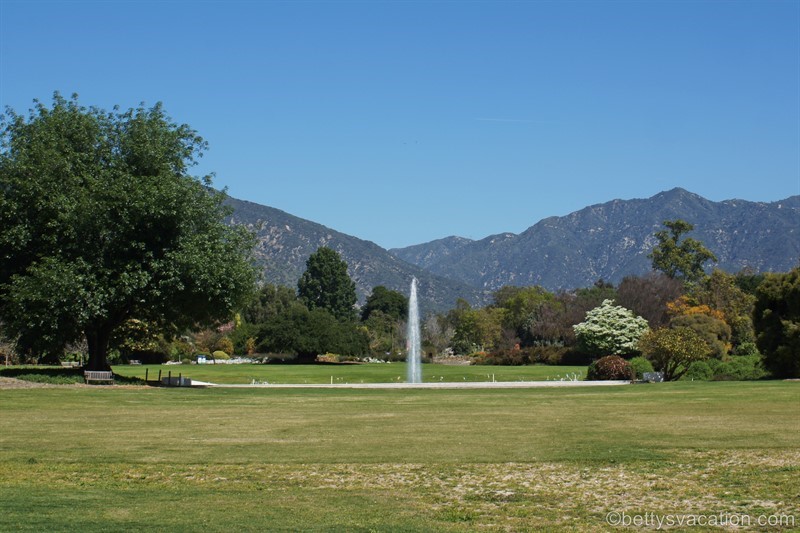 16-Los-Angeles-Arboretum.jpg