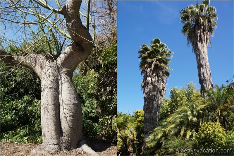19-Los-Angeles-Arboretum.jpg