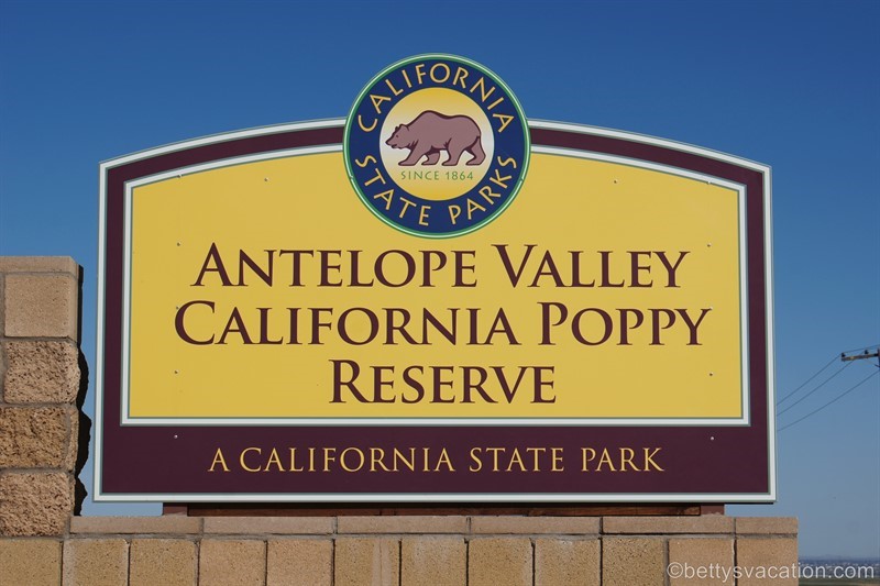 28-Antelope-Valley-Poppy-Reserve.jpg