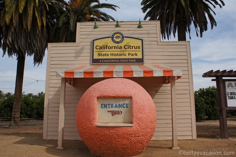 31-California-Citrus-SHP.jpg