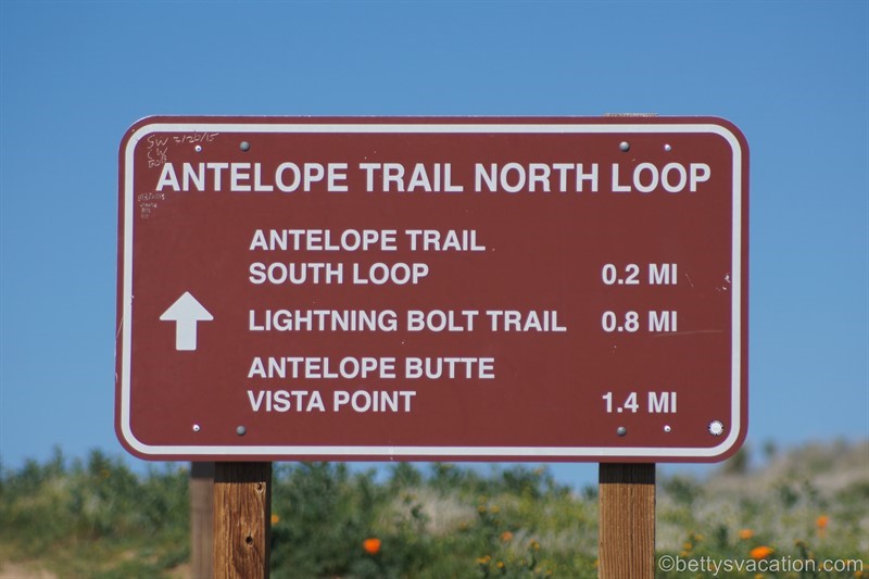 34-Antelope-Valley-Poppy-Reserve.jpg