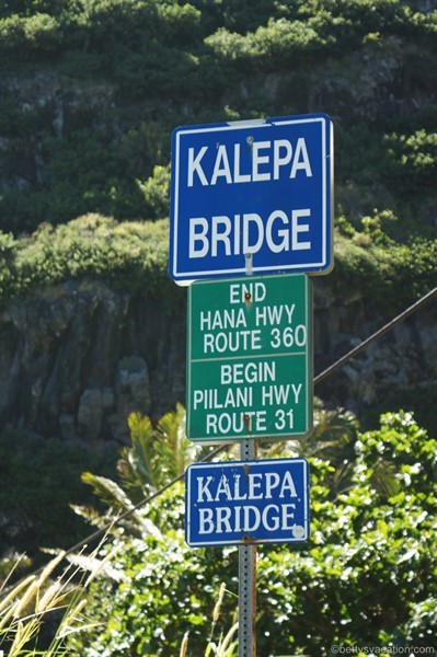 35-Kalepa-Bridge.jpg
