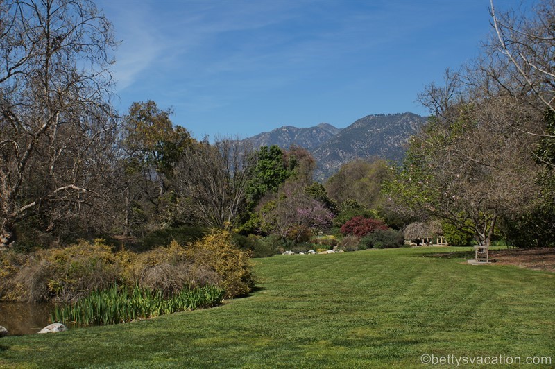 41-Los-Angeles-Arboretum.jpg