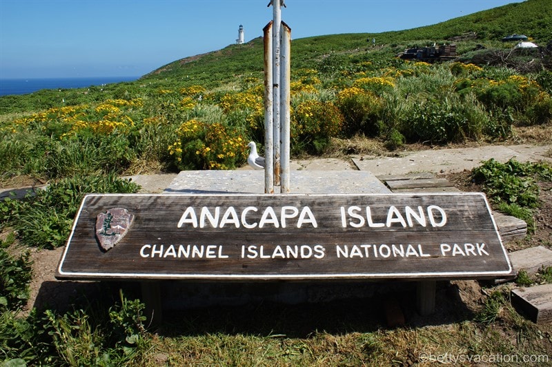 24-Anacapa-Island.jpg