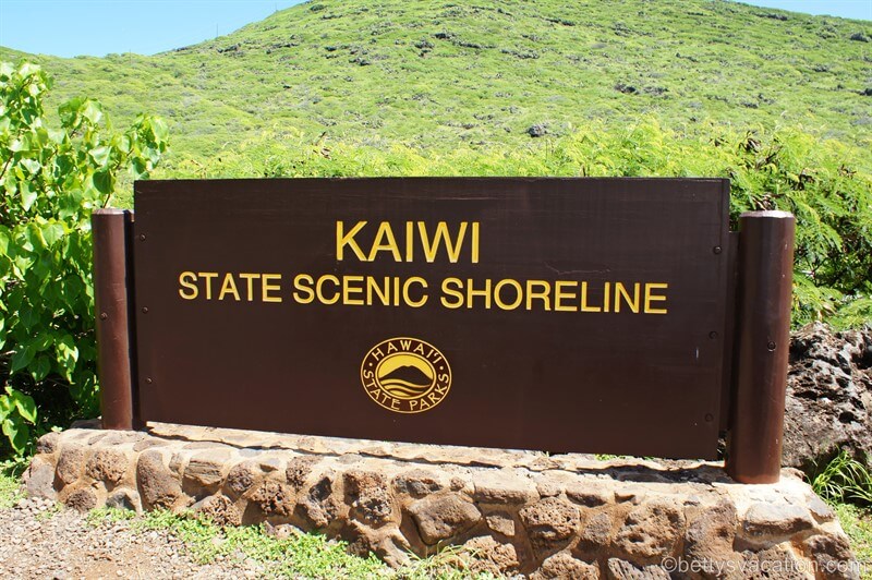 1-Kaiwi-State-Scenic-Shoreline.jpg