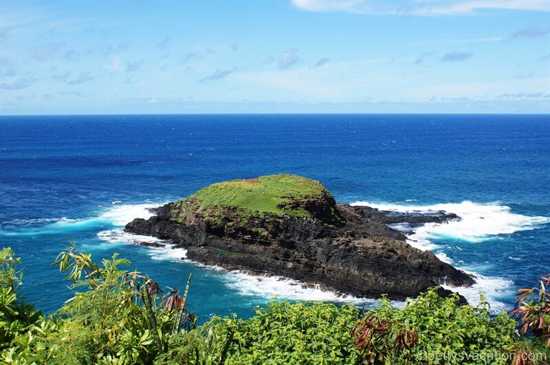 10-Kilauea-Point.jpg