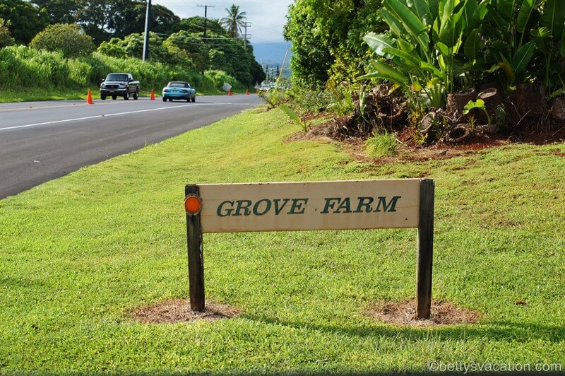 8-Grove-Farm.jpg