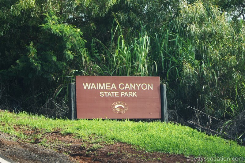 14-Waimea-Canyon-State-Park.jpg